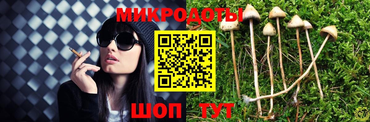 Псилоцибиновые грибы Psilocybine cubensis Красноярск